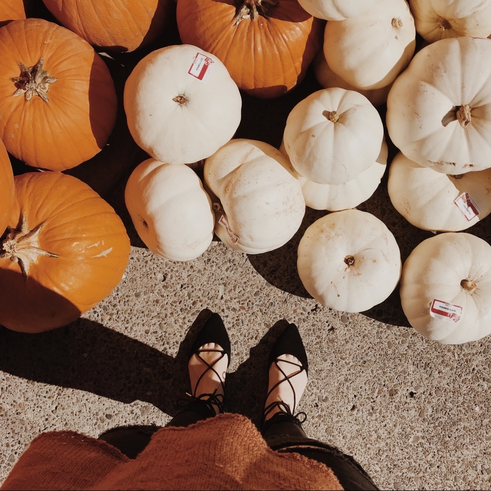 Meet your Posher, Cassandra